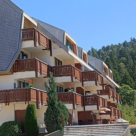 Apartmán Sonnenstrahl Todtmoos Exteriér fotografie