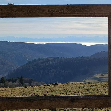 Apartmán Sonnenstrahl Todtmoos Exteriér fotografie