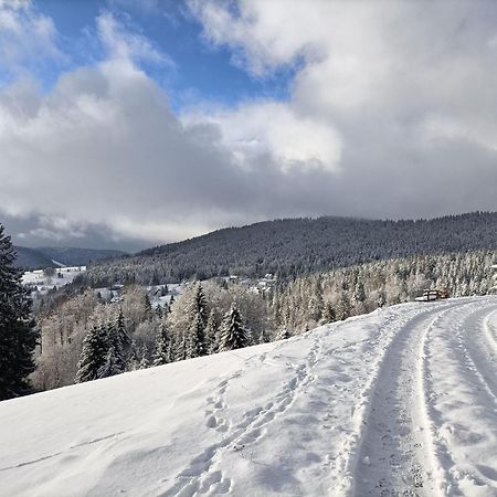 Apartmán Sonnenstrahl Todtmoos Exteriér fotografie