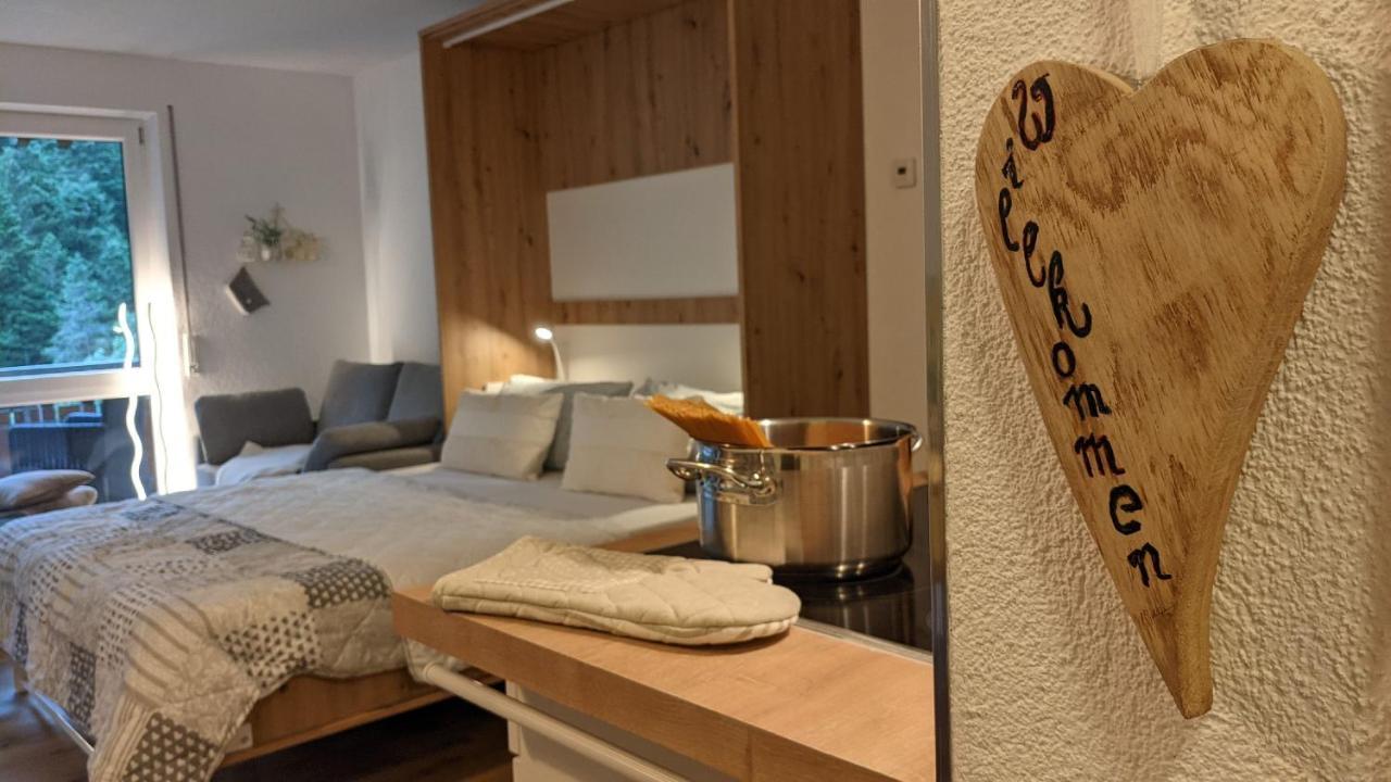 Apartmán Sonnenstrahl Todtmoos Exteriér fotografie