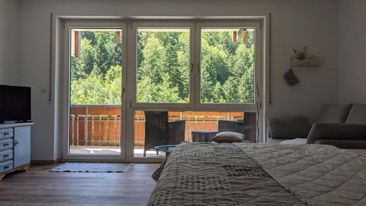 Apartmán Sonnenstrahl Todtmoos Exteriér fotografie