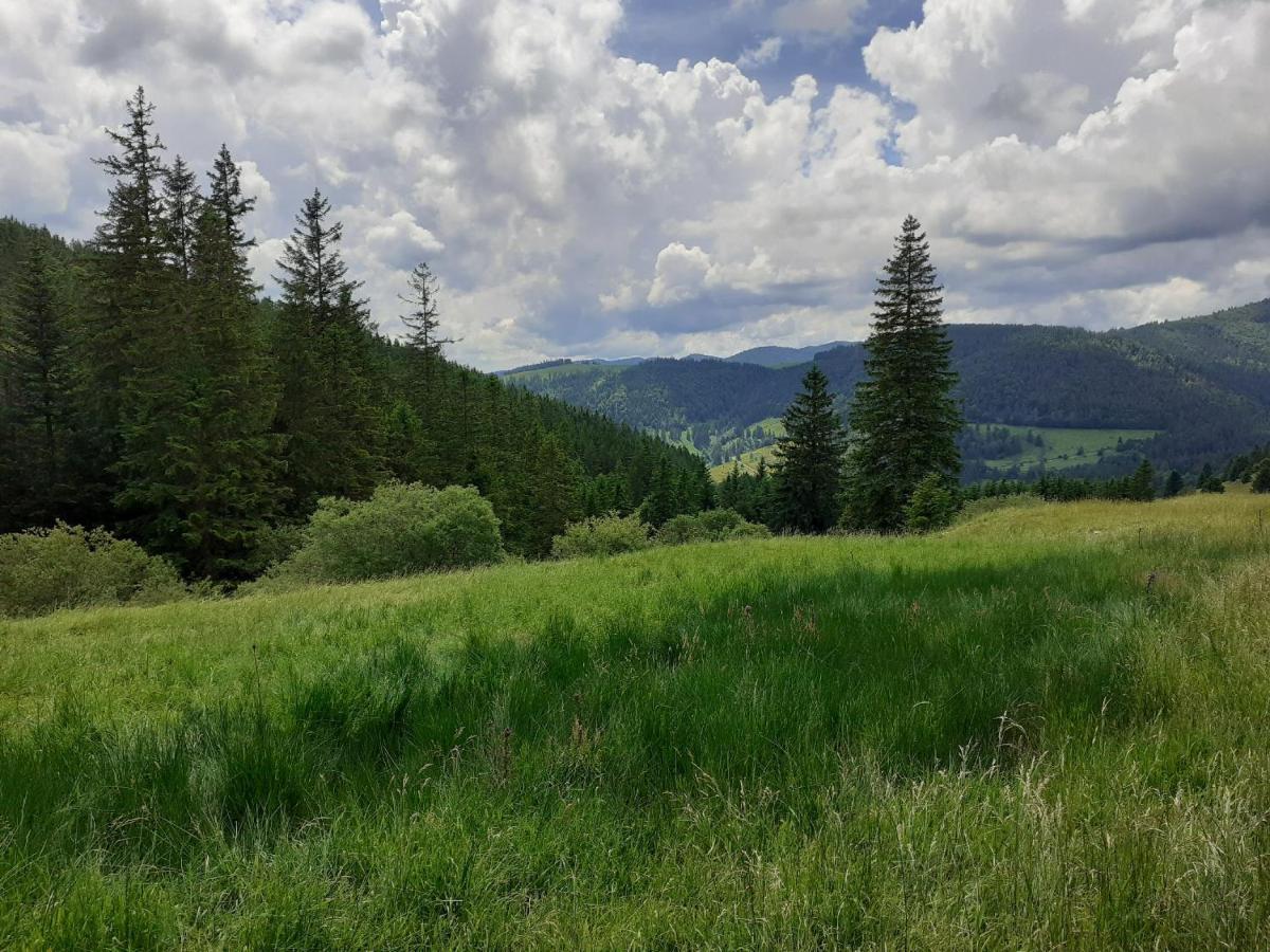 Apartmán Sonnenstrahl Todtmoos Exteriér fotografie