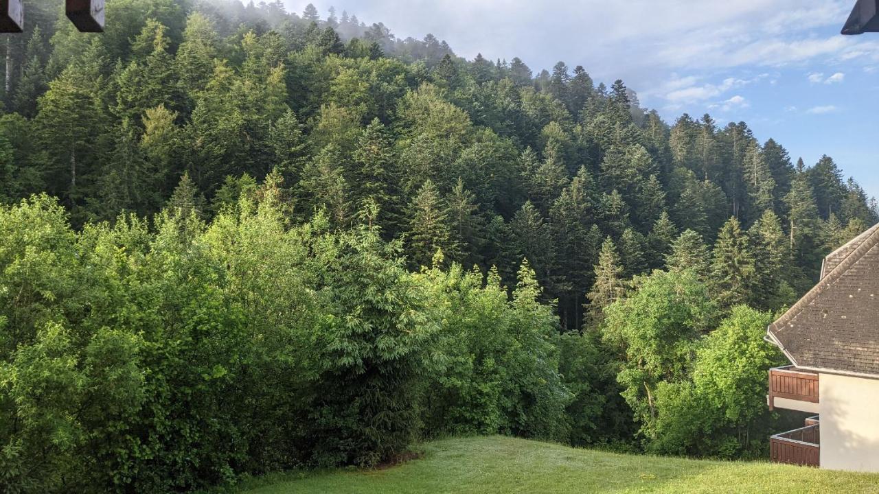 Apartmán Sonnenstrahl Todtmoos Exteriér fotografie