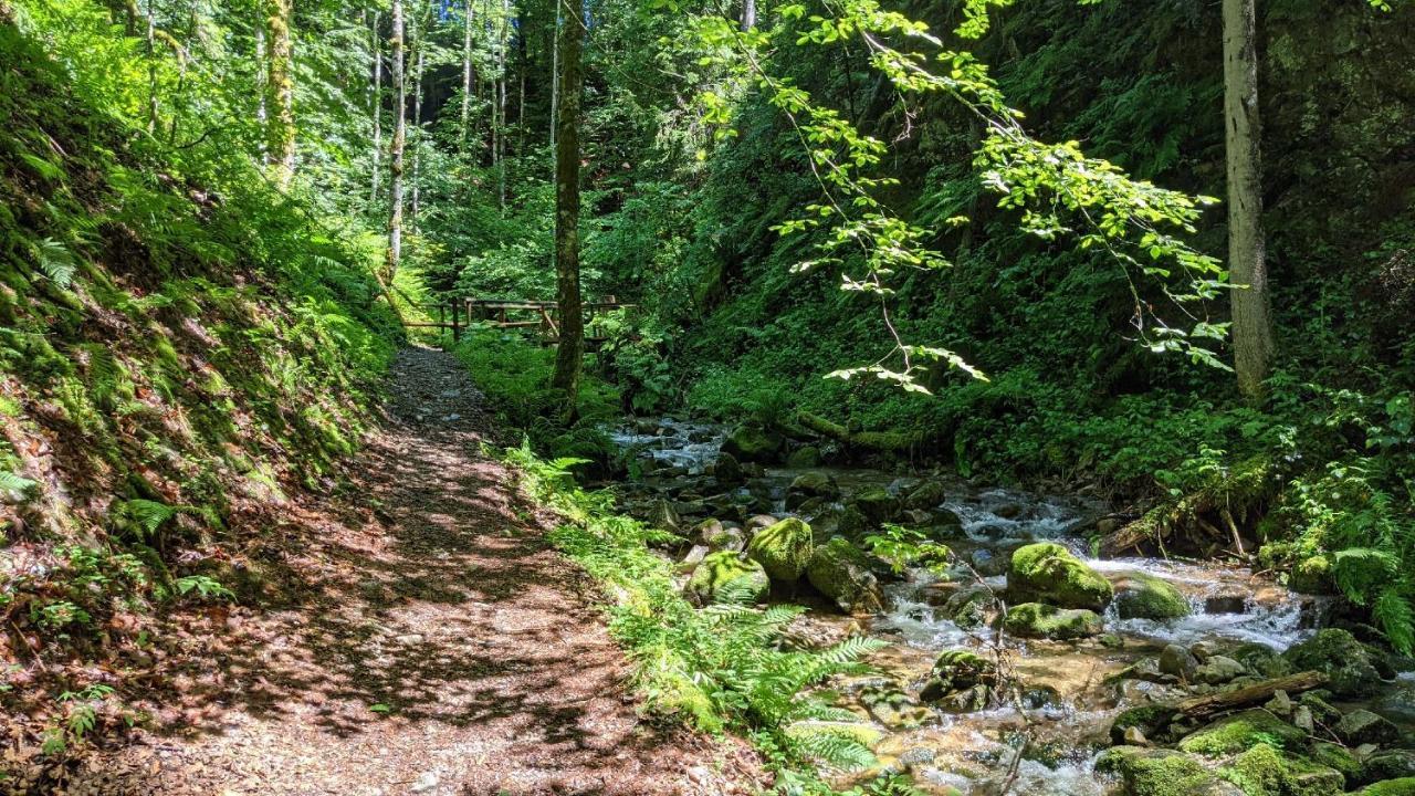 Apartmán Sonnenstrahl Todtmoos Exteriér fotografie