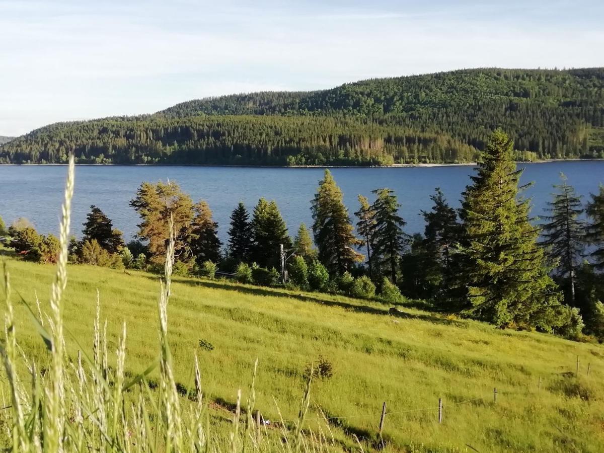 Apartmán Sonnenstrahl Todtmoos Exteriér fotografie