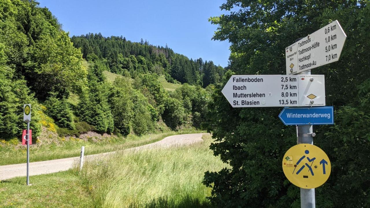 Apartmán Sonnenstrahl Todtmoos Exteriér fotografie