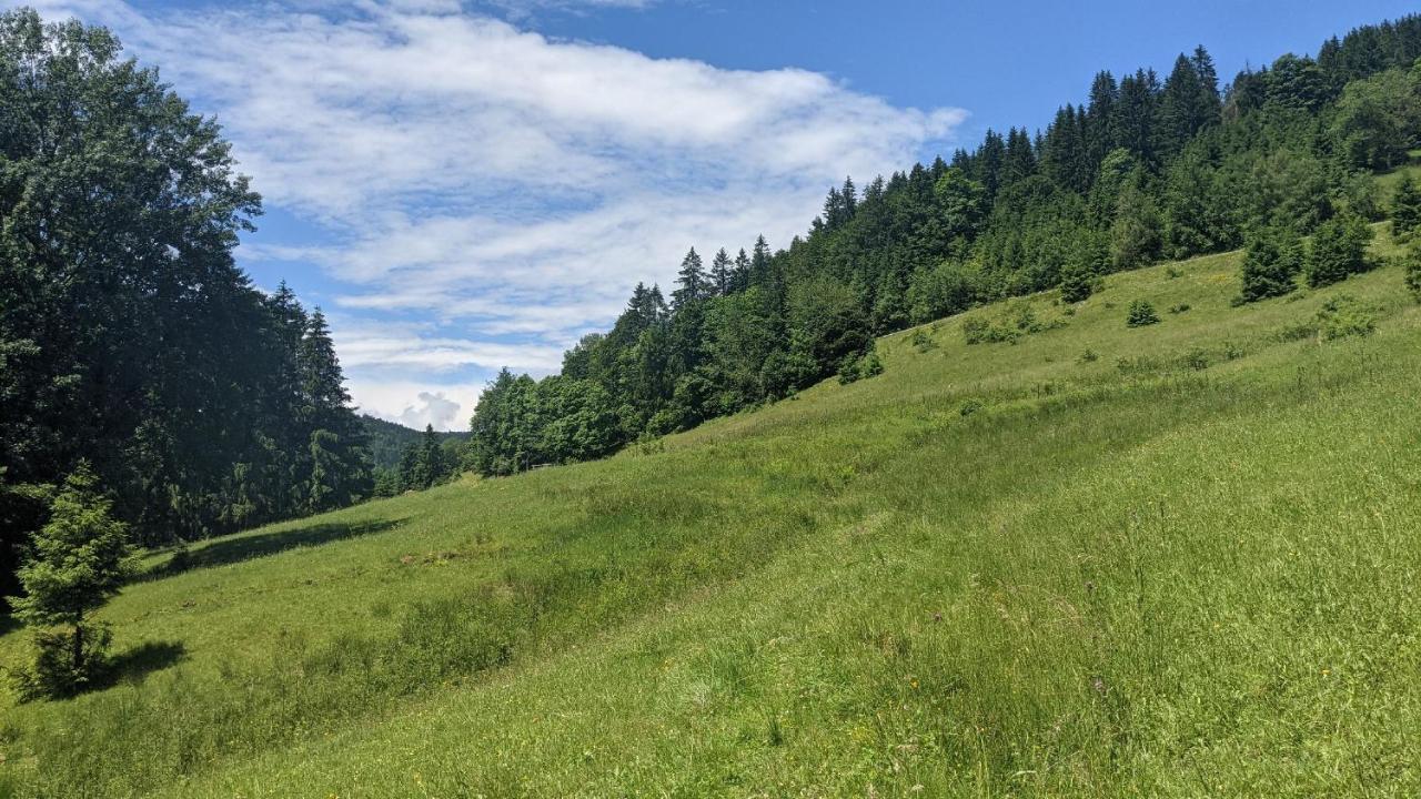 Apartmán Sonnenstrahl Todtmoos Exteriér fotografie