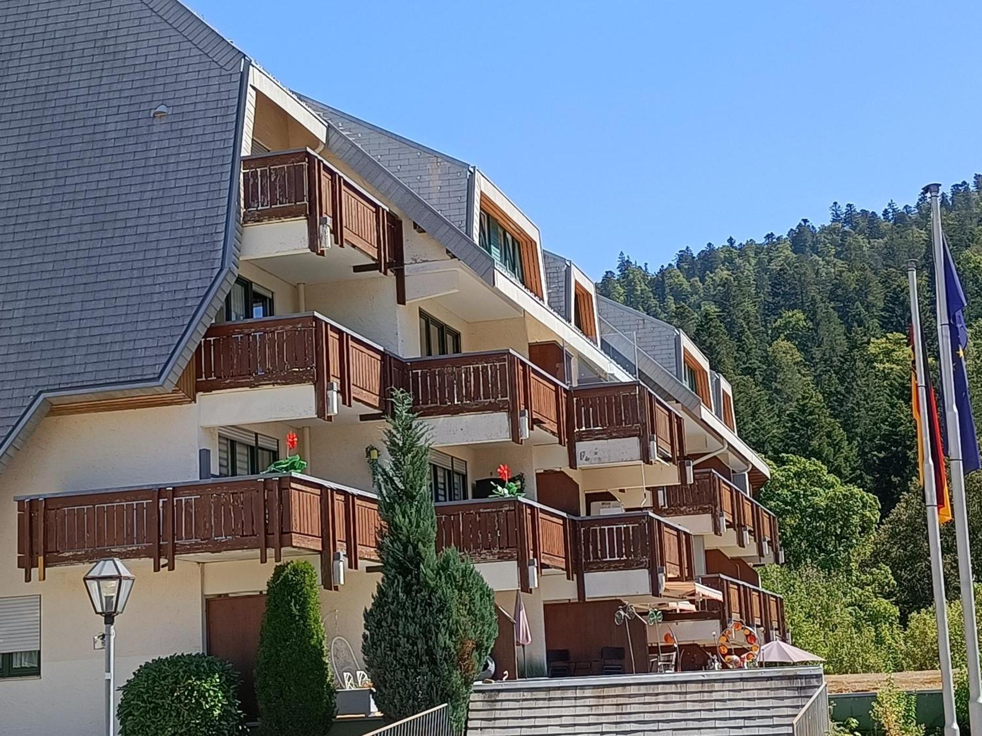 Apartmán Sonnenstrahl Todtmoos Exteriér fotografie