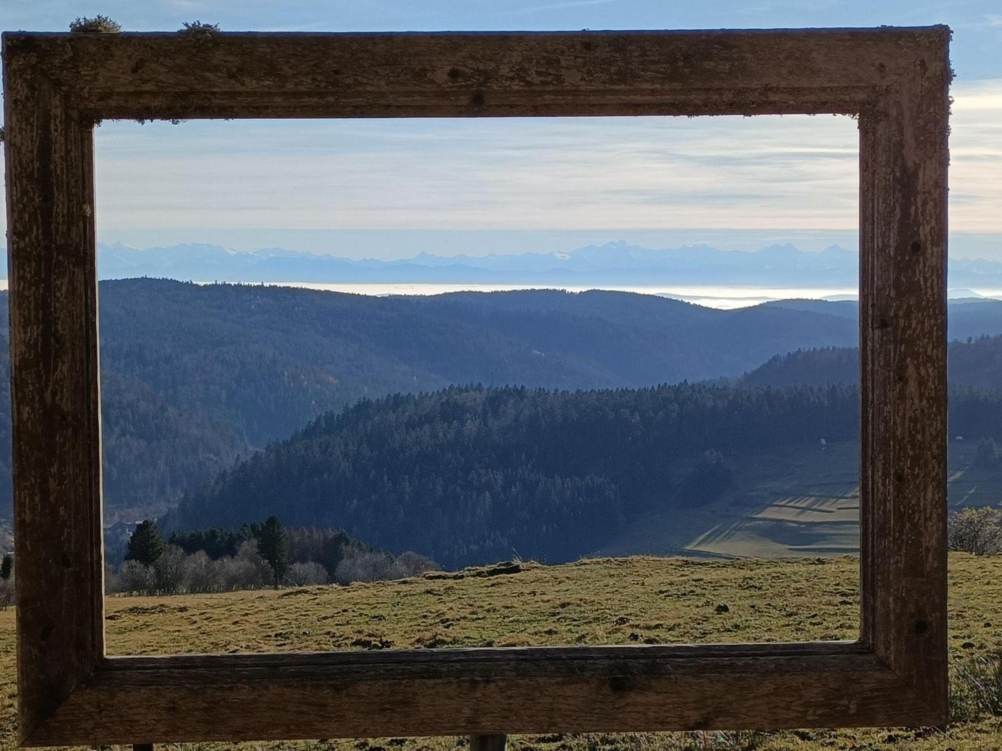 Apartmán Sonnenstrahl Todtmoos Exteriér fotografie
